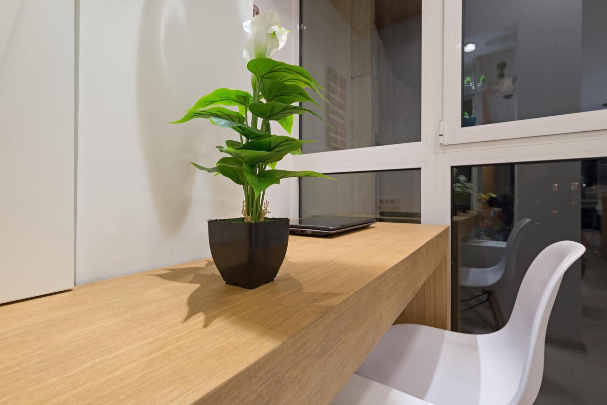 Vivio Luxury Apartment Belgrad Exteriör bild